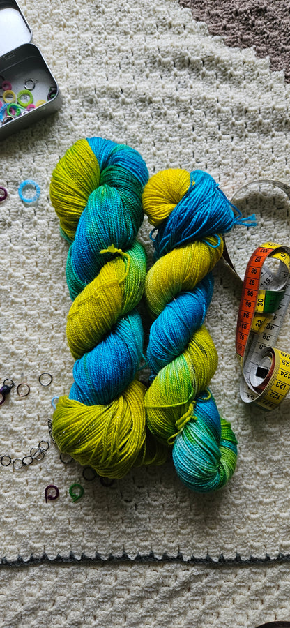 Blue-and-Yellow Macaw | The Parrot Collection