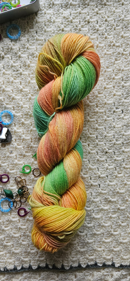 Solparakit | The Parrot Collection