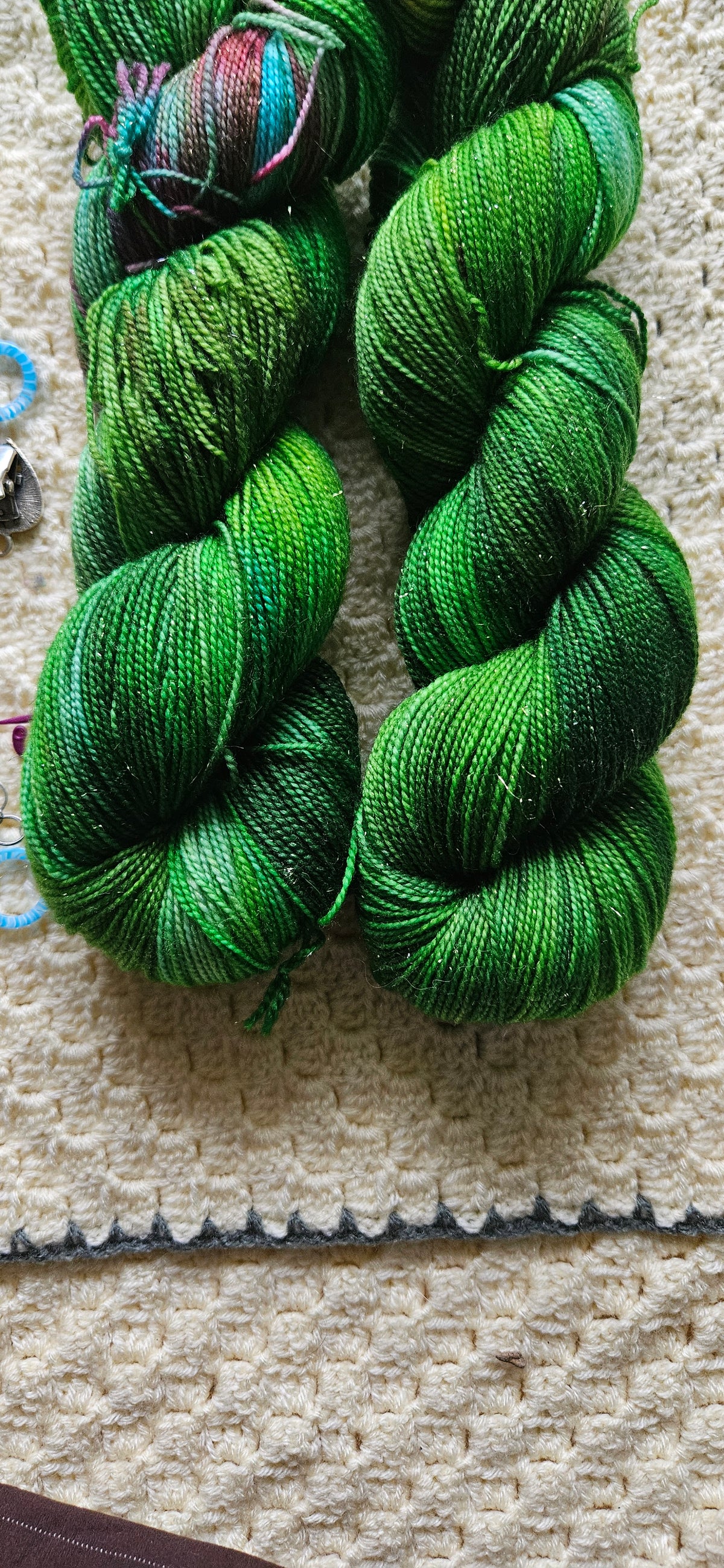 Blåpandet Amazone | The Parrot Collection