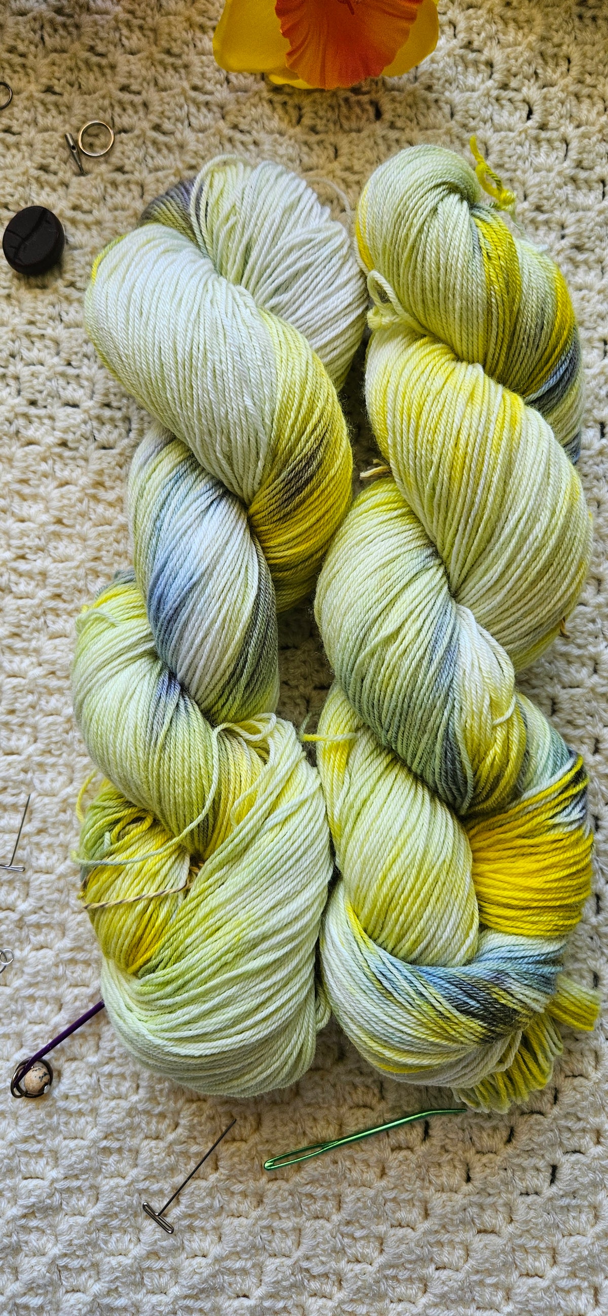 Stedmorblomst | The Scandinavian Garden Collection