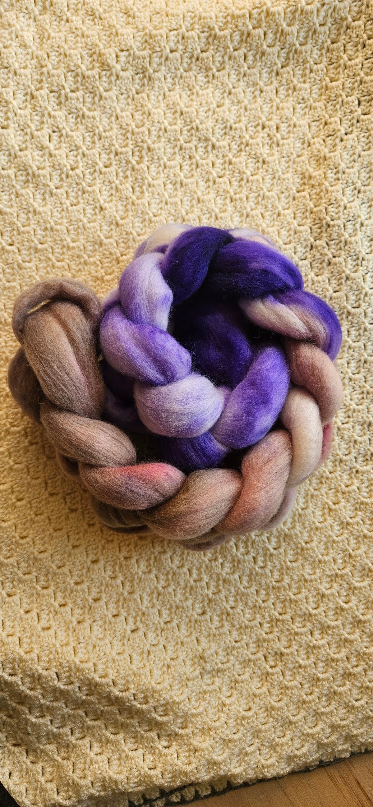 Chicory | The Scandinavian Garden Collection