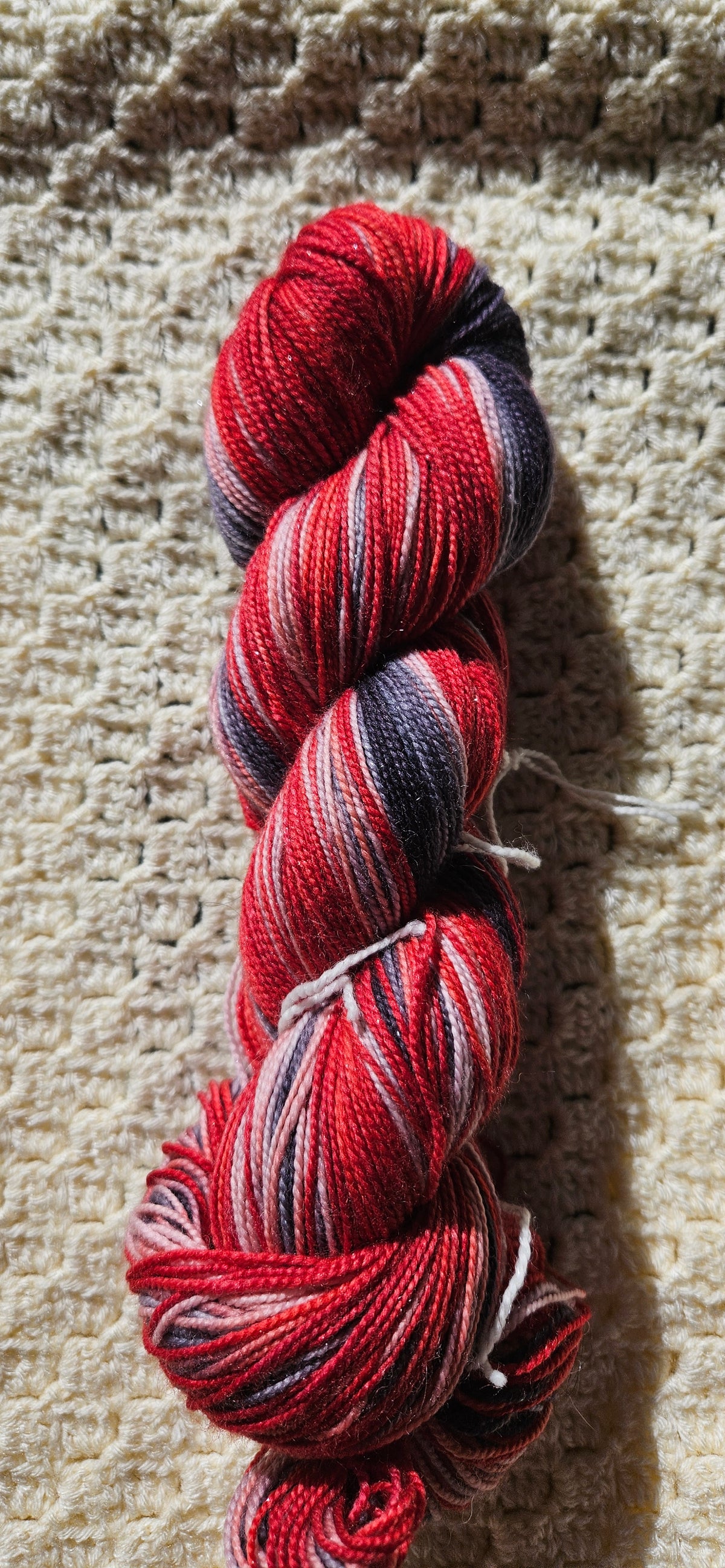 Grey Parrot | The Parrot Collection