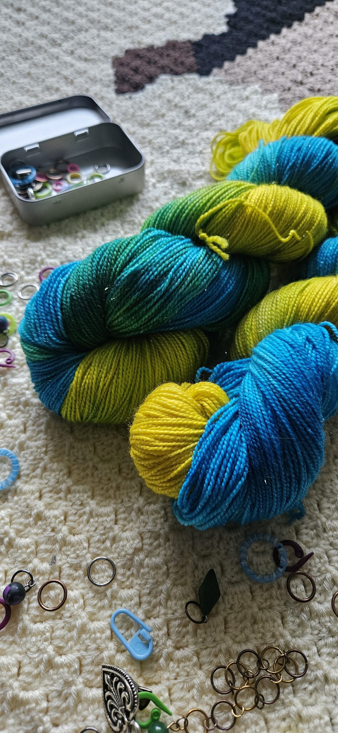 Parrot Collection | Blue & Gold Macaw