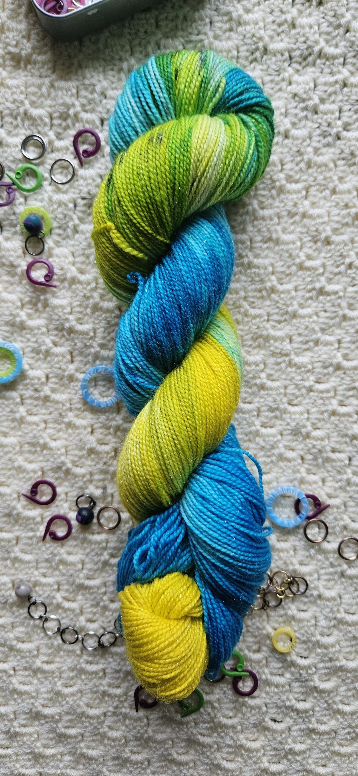 Parrot Collection | Blue & Gold Macaw - Image 6