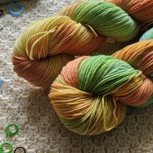 Parrot Collection | Sun Conure